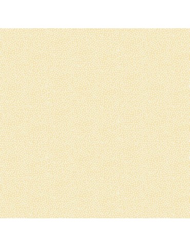 Tissu coton Faux Unis Essential Tons sur Tons à Pois