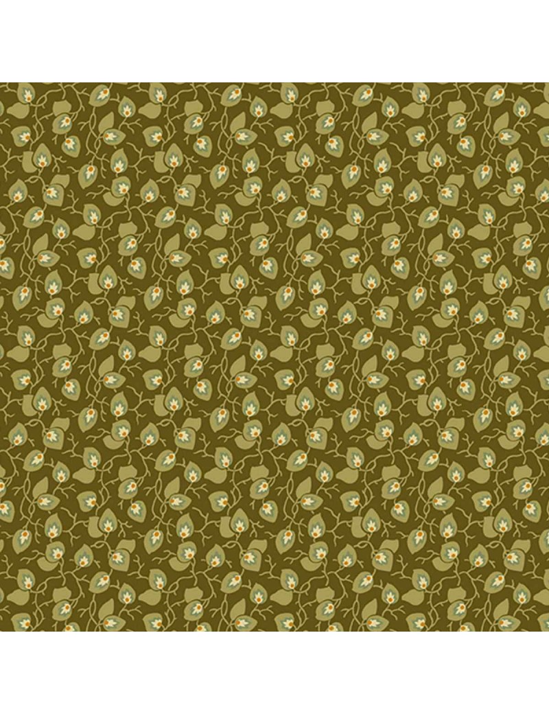 A-284-G Vine Olive