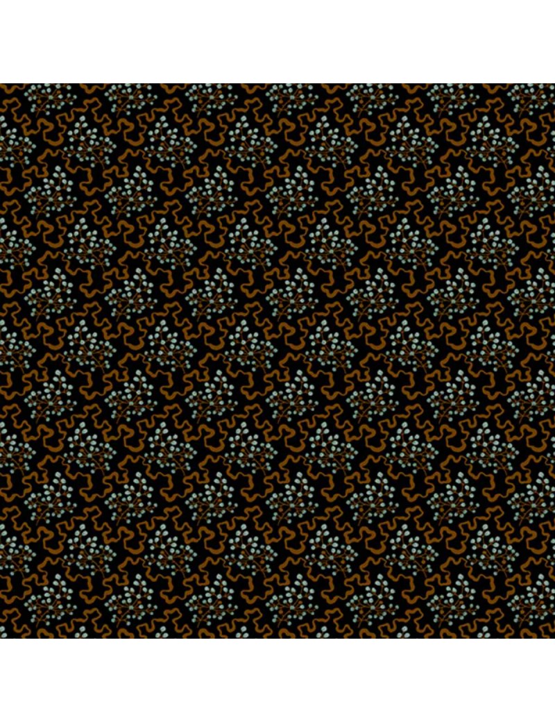 A-288-K Elderberry night