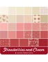 Fat quarter Strawberries and Cream Valley