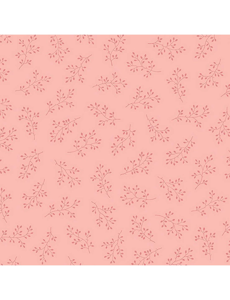 A-8511-E4 Strawberries and Cream Olive Branch Rose
