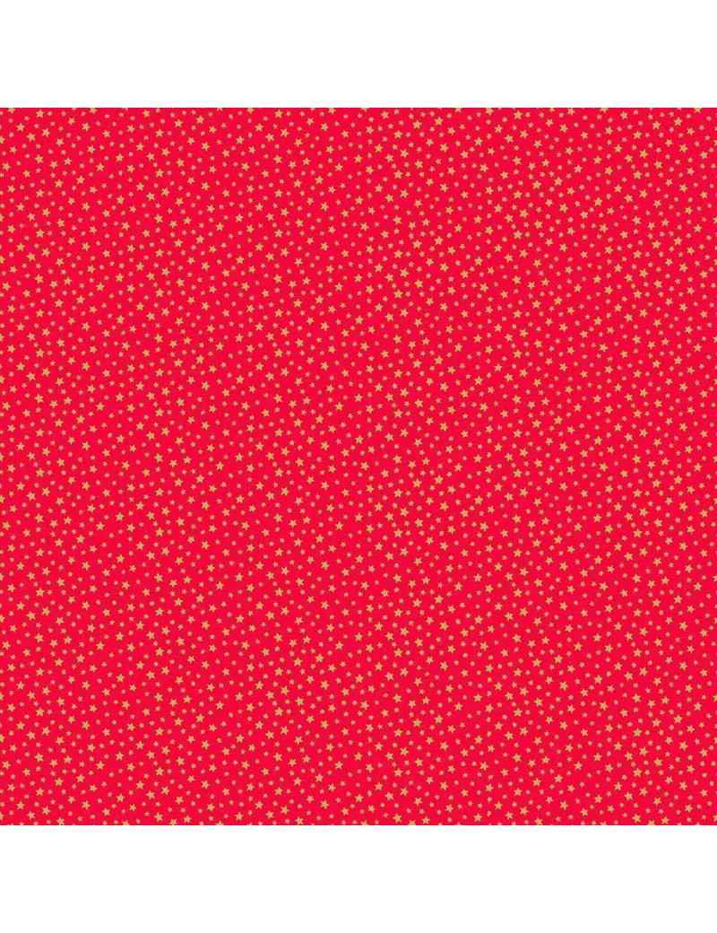 306/R10 Christmas Essentials Star rouge et doré