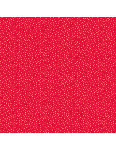 306/R10 Christmas Essentials Star rouge et doré