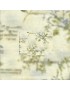 Tissu coton Japonais à motif de Branches et Ecritures