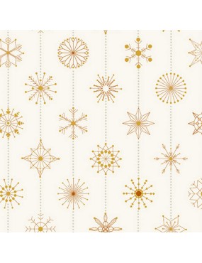 673-LY Natale Snowflakes Biscotti