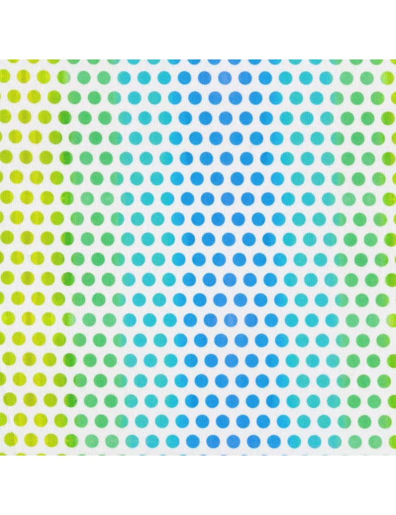 Summer Breeze Dots par Jason Yenter pour In the Beginning Fabrics