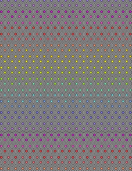 Hexy Rainbow Fat Quarter – Tula Pink – True Colors Collection