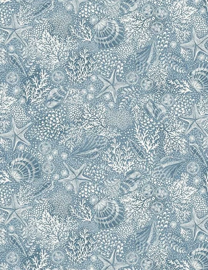 081-B5 reef mid blue
