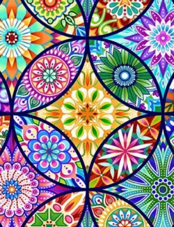 Caravan 8294-77 Royal Multi