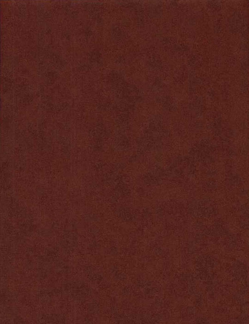 Fat Quarter Spraytime Marron Ecureuil