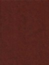 Fat Quarter Spraytime Marron Ecureuil
