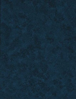 Tissu coton Spraytime Bleu Nuit