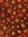 Maple Leaf Cotton Fabric – Oh Canada 13 – Northcott