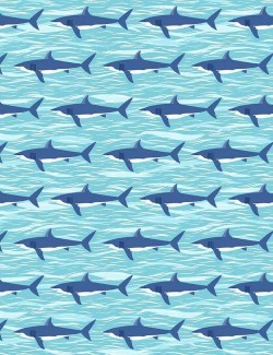 141-B2 Tissu requins