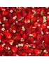 Tissu coton Fresh à motifs de fraises et fleurs