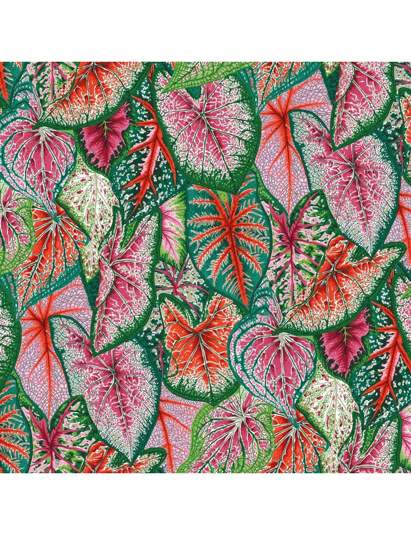 Kaffe Fassett par Philip Jacobs PWPJ108 Caladiums