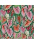 Kaffe Fassett par Philip Jacobs PWPJ108 Caladiums