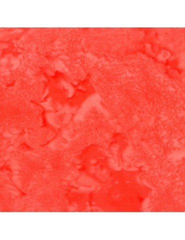 1895-469-Nasturtium